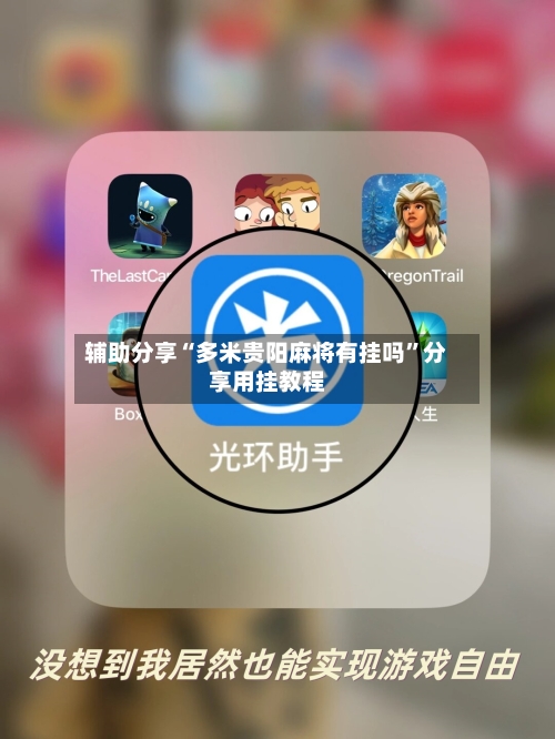 辅助分享“多米贵阳麻将有挂吗”分享用挂教程-第3张图片