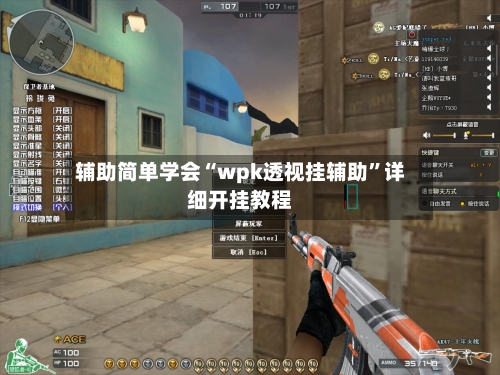 辅助简单学会“wpk透视挂辅助	”详细开挂教程-第2张图片