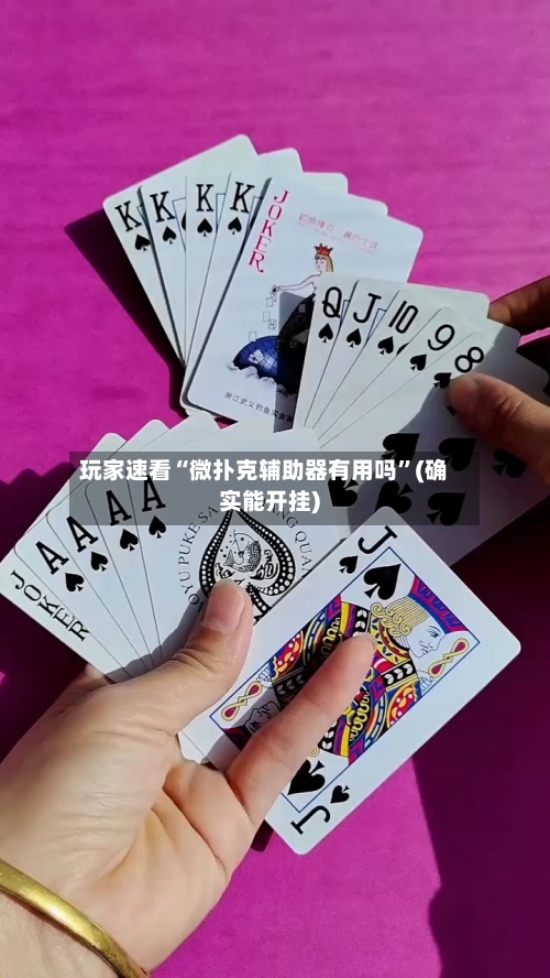 玩家速看“微扑克辅助器有用吗”(确实能开挂)