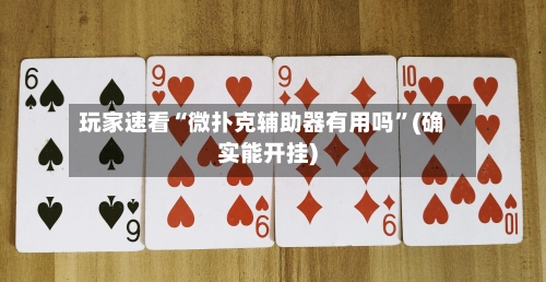 玩家速看“微扑克辅助器有用吗”(确实能开挂)-第2张图片