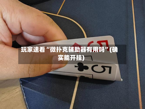 玩家速看“微扑克辅助器有用吗	”(确实能开挂)-第3张图片