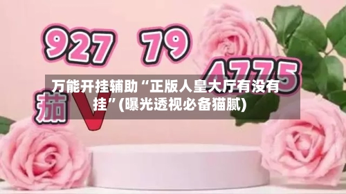 万能开挂辅助“正版人皇大厅有没有挂”(曝光透视必备猫腻)-第3张图片