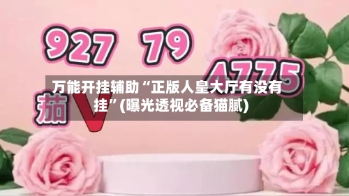 万能开挂辅助“正版人皇大厅有没有挂	”(曝光透视必备猫腻)-第2张图片