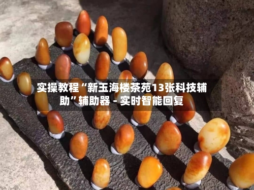 实操教程“新玉海楼茶苑13张科技辅助”辅助器 - 实时智能回复-第2张图片