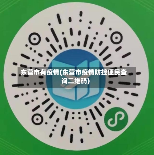东营市有疫情(东营市疫情防控便民查询二维码)-第2张图片