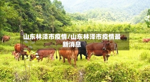 山东林泽市疫情/山东林泽市疫情最新消息-第2张图片