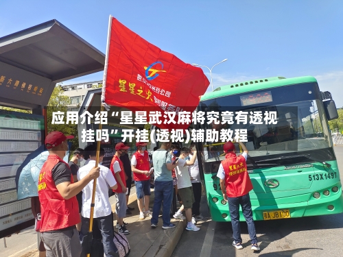 应用介绍“星星武汉麻将究竟有透视挂吗	”开挂(透视)辅助教程-第2张图片