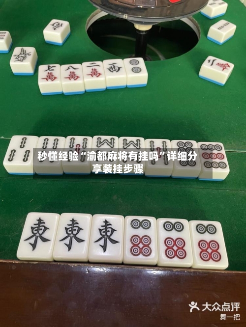 秒懂经验“渝都麻将有挂吗	”详细分享装挂步骤-第3张图片