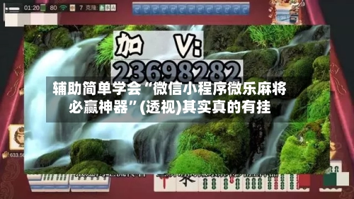 辅助简单学会“微信小程序微乐麻将必赢神器”(透视)其实真的有挂-第2张图片