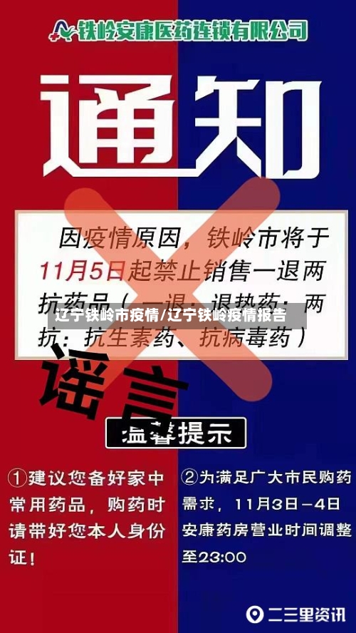 辽宁铁岭市疫情/辽宁铁岭疫情报告-第2张图片