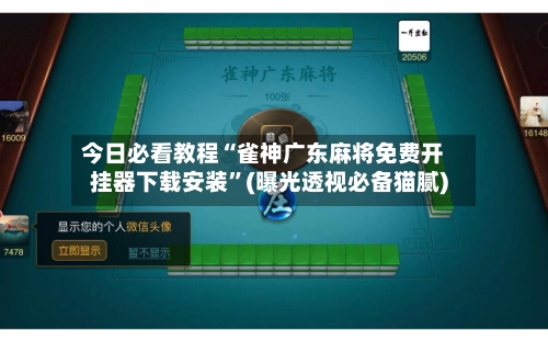 今日必看教程“雀神广东麻将免费开挂器下载安装	”(曝光透视必备猫腻)-第3张图片