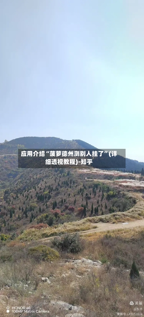 应用介绍“菠萝德州测别人挂了	”(详细透视教程)-知乎-第2张图片