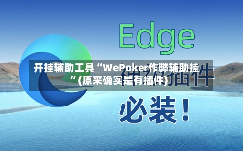 开挂辅助工具“WePoker作弊辅助挂”(原来确实是有插件) -第2张图片