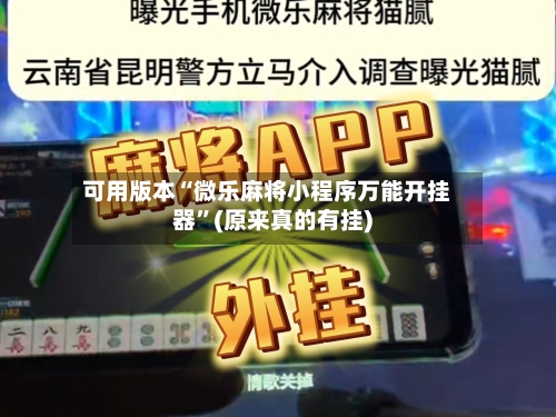可用版本“微乐麻将小程序万能开挂器	”(原来真的有挂)-第2张图片