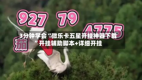 3分钟学会“微乐卡五星开挂神器下载”开挂辅助脚本+详细开挂-第3张图片