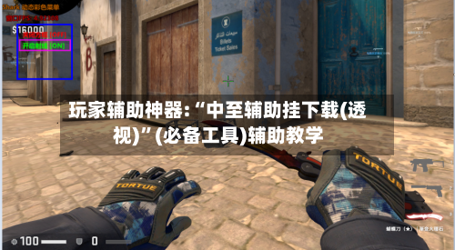 玩家辅助神器:“中至辅助挂下载(透视)”(必备工具)辅助教学