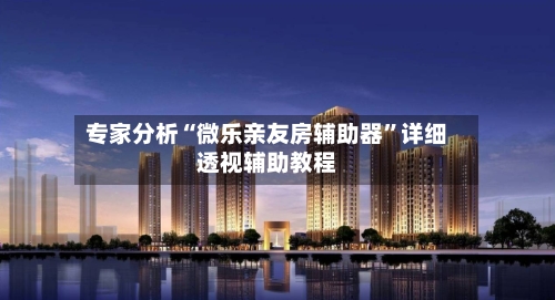 专家分析“微乐亲友房辅助器”详细透视辅助教程-第2张图片