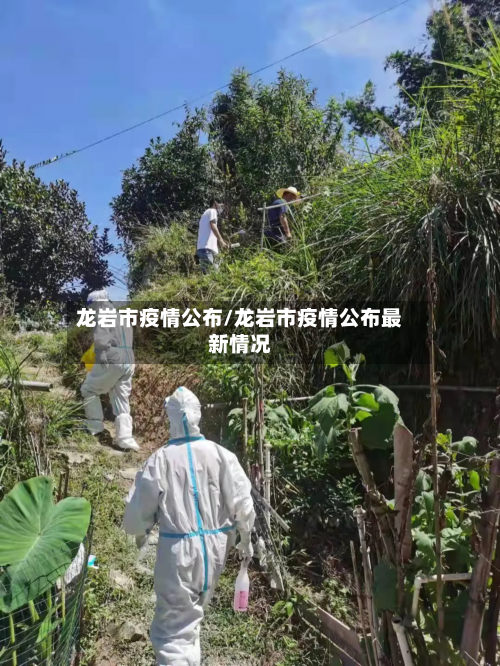 龙岩市疫情公布/龙岩市疫情公布最新情况