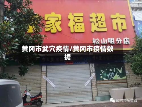 黄冈市武穴疫情/黄冈市疫情数据-第2张图片