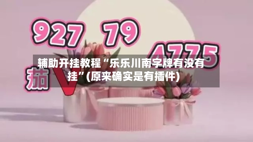辅助开挂教程“乐乐川南字牌有没有挂	”(原来确实是有插件) -第2张图片