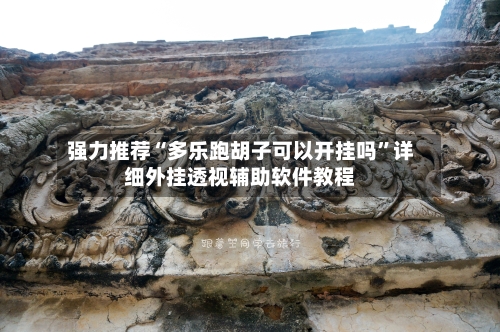 强力推荐“多乐跑胡子可以开挂吗	”详细外挂透视辅助软件教程-第2张图片