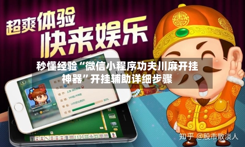 秒懂经验“微信小程序功夫川麻开挂神器”开挂辅助详细步骤-第2张图片