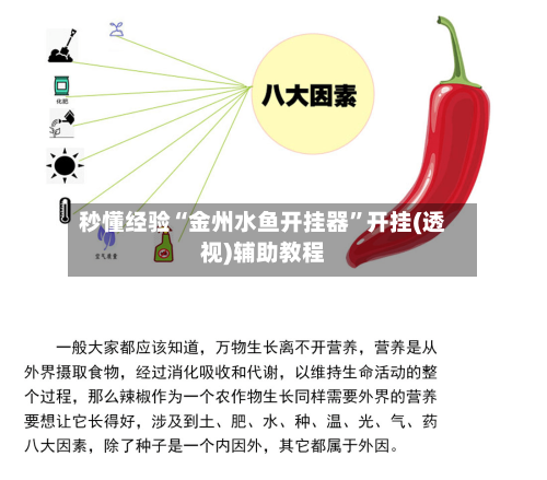 秒懂经验“金州水鱼开挂器”开挂(透视)辅助教程-第2张图片