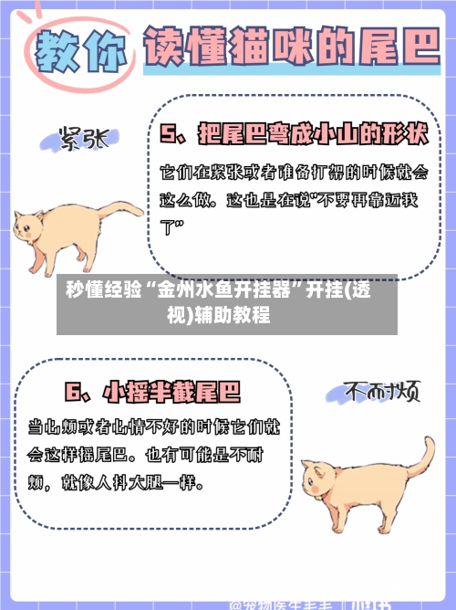 秒懂经验“金州水鱼开挂器”开挂(透视)辅助教程-第3张图片