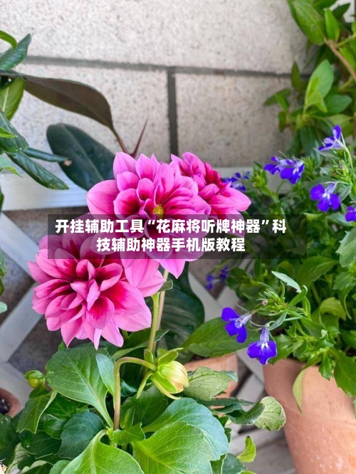 开挂辅助工具“花麻将听牌神器”科技辅助神器手机版教程