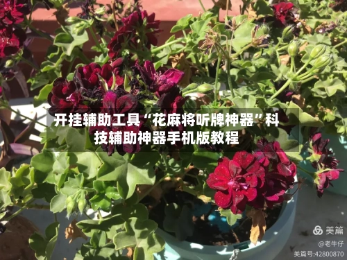 开挂辅助工具“花麻将听牌神器	”科技辅助神器手机版教程-第3张图片