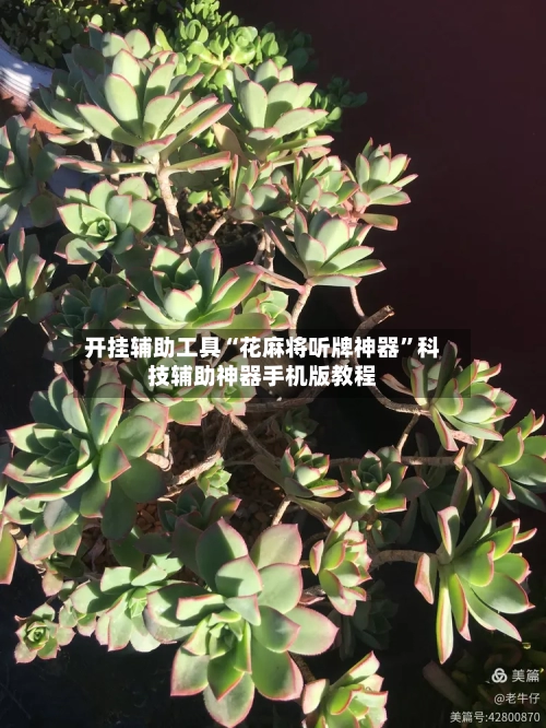 开挂辅助工具“花麻将听牌神器”科技辅助神器手机版教程-第2张图片