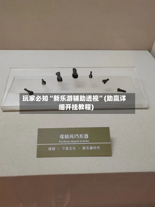 玩家必知“新乐游辅助透视”(助赢详细开挂教程)-第2张图片