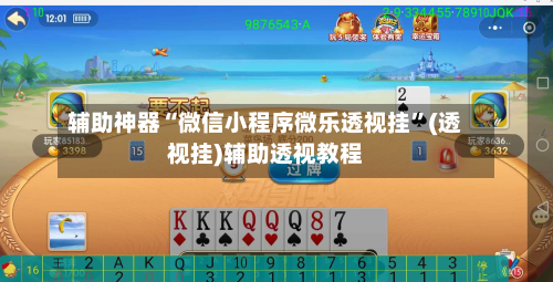 辅助神器“微信小程序微乐透视挂	”(透视挂)辅助透视教程-第3张图片