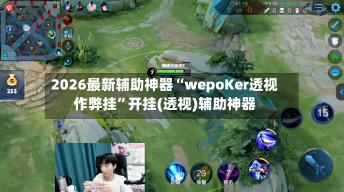 2026最新辅助神器“wepoKer透视作弊挂”开挂(透视)辅助神器