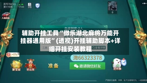 辅助开挂工具“微乐湖北麻将万能开挂器通用版	”(透视)开挂辅助脚本+详细开挂安装教程-第2张图片