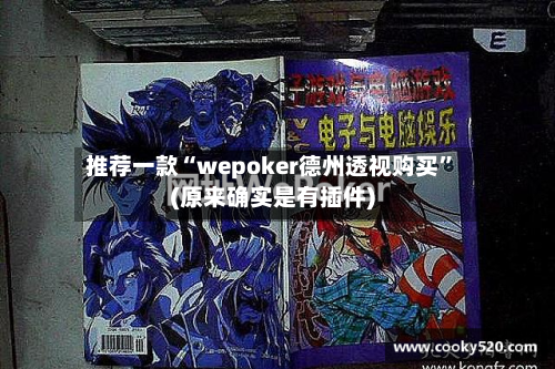 推荐一款“wepoker德州透视购买	”(原来确实是有插件)-第2张图片
