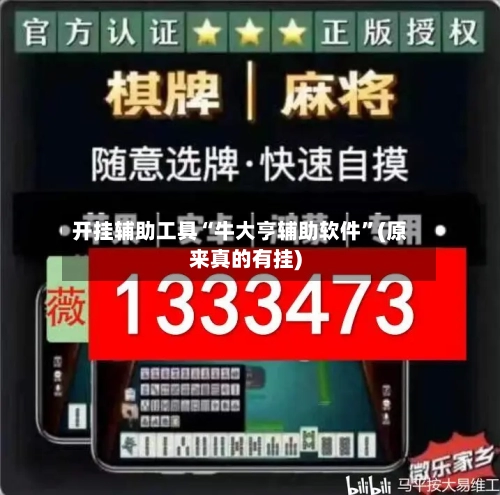 开挂辅助工具“牛大亨辅助软件”(原来真的有挂)-第2张图片