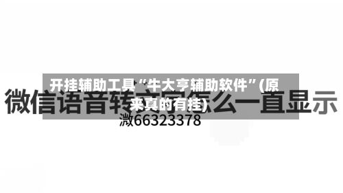 开挂辅助工具“牛大亨辅助软件”(原来真的有挂)-第3张图片