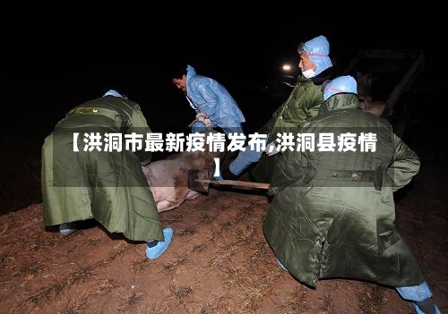 【洪洞市最新疫情发布,洪洞县疫情】-第2张图片