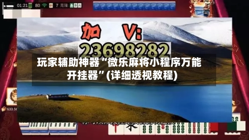 玩家辅助神器“微乐麻将小程序万能开挂器”(详细透视教程)-第2张图片