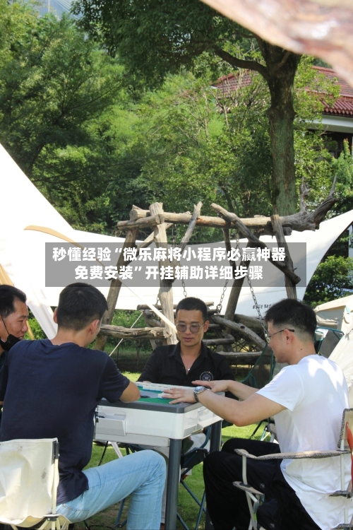 秒懂经验“微乐麻将小程序必赢神器免费安装”开挂辅助详细步骤-第3张图片