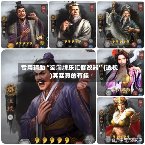 专用辅助“蜀渝牌乐汇修改器”(透视)其实真的有挂-第2张图片