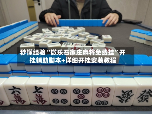 秒懂经验“微乐石家庄麻将免费挂	”开挂辅助脚本+详细开挂安装教程-第2张图片