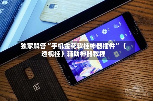 独家解答“手机金花软挂神器插件	”（透视挂）辅助神器教程-第2张图片