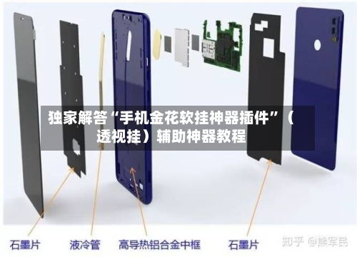 独家解答“手机金花软挂神器插件”（透视挂）辅助神器教程-第3张图片