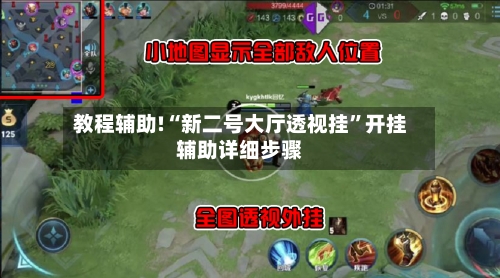 教程辅助!“新二号大厅透视挂”开挂辅助详细步骤-第2张图片