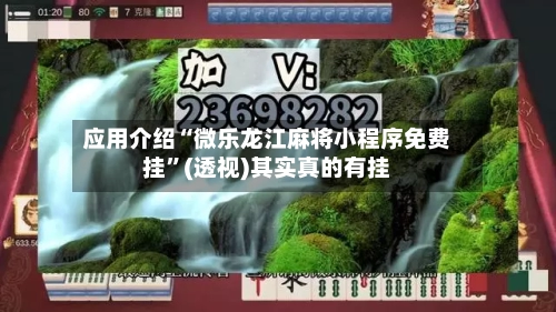 应用介绍“微乐龙江麻将小程序免费挂”(透视)其实真的有挂-第2张图片