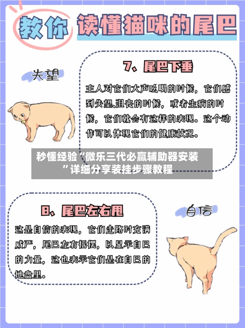 秒懂经验“微乐三代必赢辅助器安装”详细分享装挂步骤教程-第2张图片