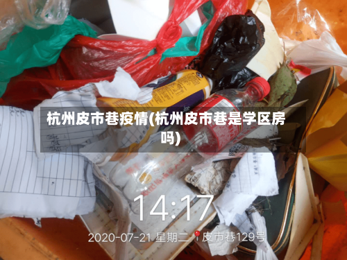 杭州皮市巷疫情(杭州皮市巷是学区房吗)-第3张图片