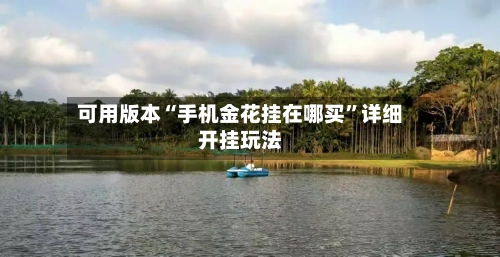 可用版本“手机金花挂在哪买”详细开挂玩法-第2张图片